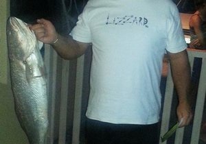 Overberg Kushengel se vangstes